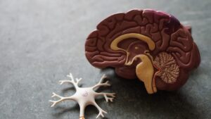 Ressonância magnética cerebral mostrando tumor da base do crânio